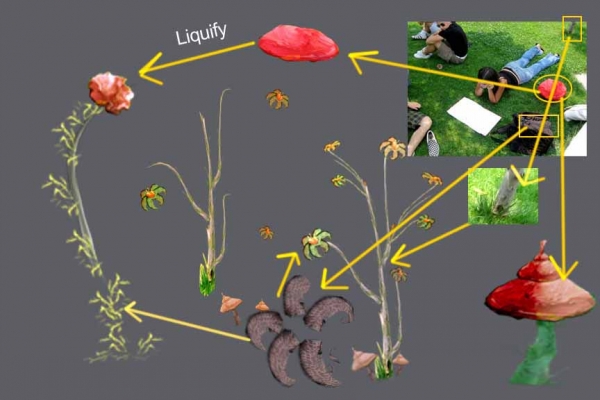 Creation of Fantasy Jungle: Step 5